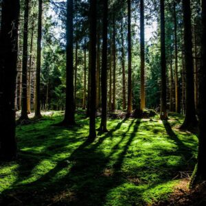 Lettore Portatile Hi-Res AK240