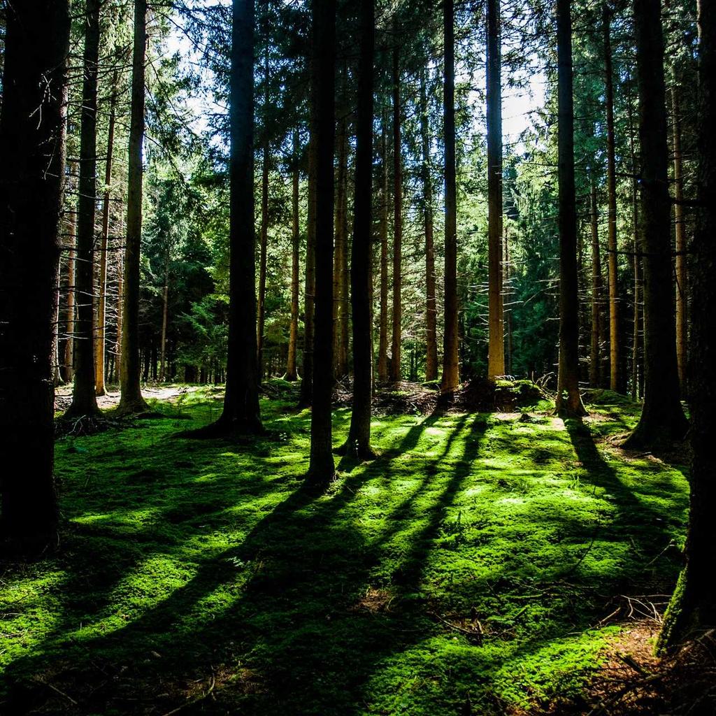 Lettore Portatile Hi-Res AK240