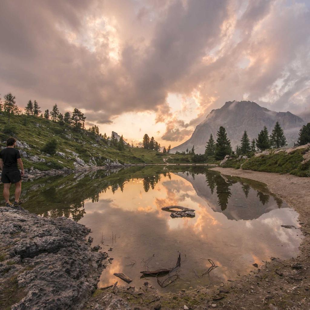 Cavo Bilanciato Cardas Clear Light