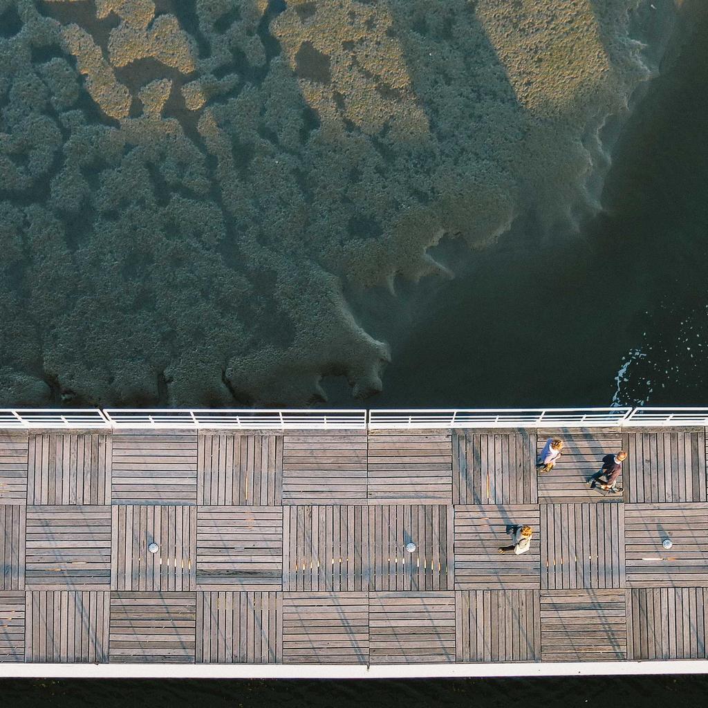 Supporto per Cuffie in Legno Omega